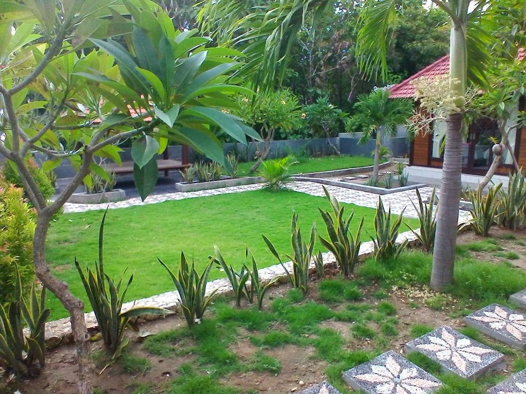נוסה פנידה Gepah Garden Cottage מראה חיצוני תמונה